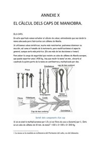 El calcul dels caps de maniobra i dimensionalt del bossellam VGD-portada
